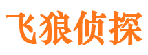 红原飞狼私家侦探公司